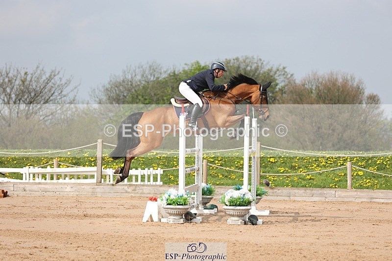 250424-104239-03179 - Cls 33 Young Horse 7yr old