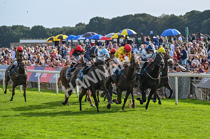 060926-Race 6-Power Fizz-8769 - Race 6 4.25pm Eboracum Security Handicap