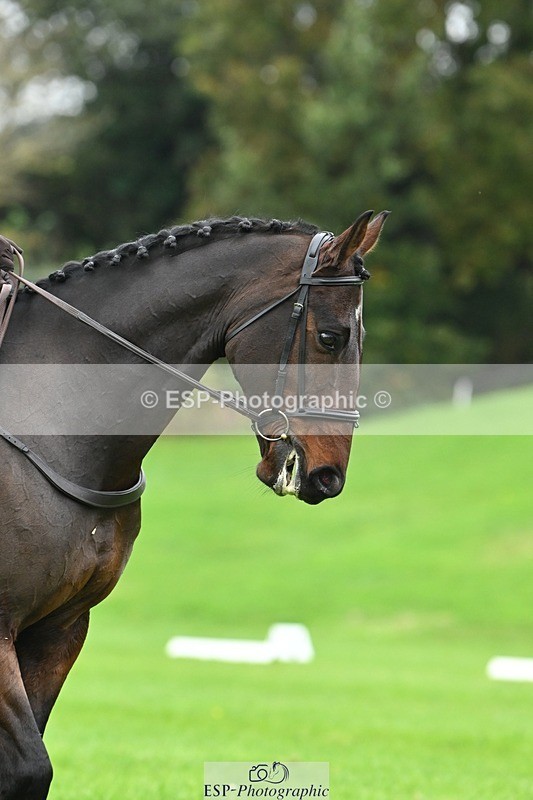 241024-123829-03451 - 517-Lieutenant.Brian.Leung-RL.SHIVA