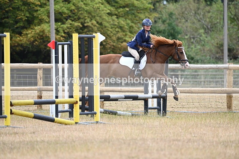 WJ6_0388 - Class 13 Novice Jumping 60cm