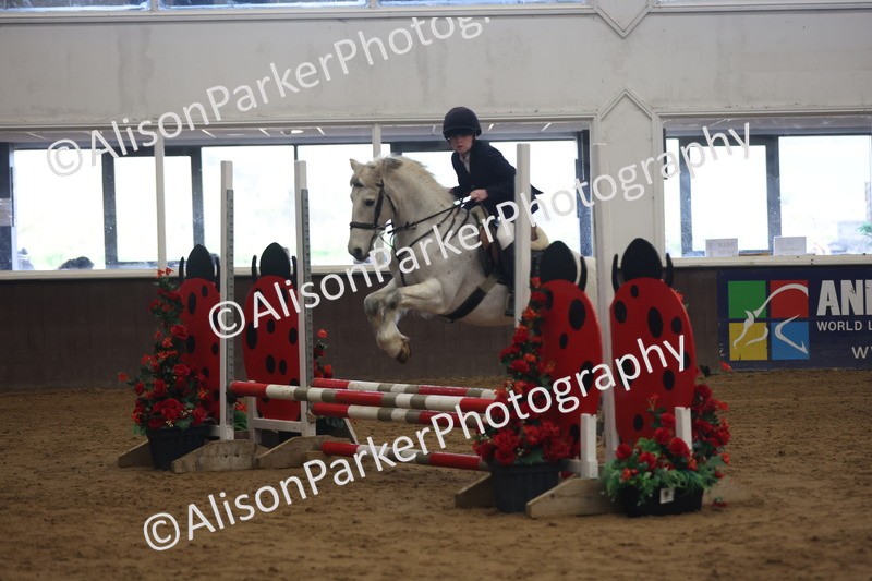 20260314-0523 - 60cm