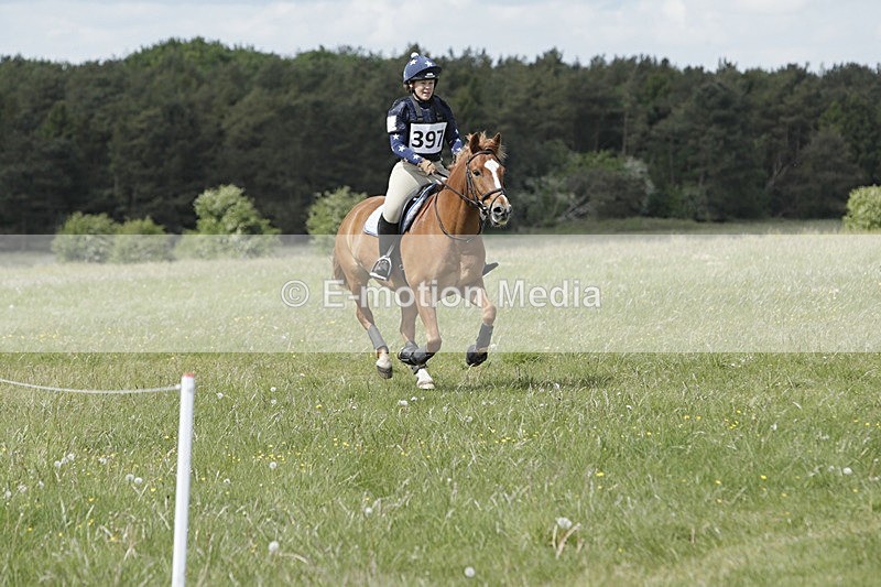 BVHT 140517  NXC -334 - Class 2 XC Novice 14/05/17