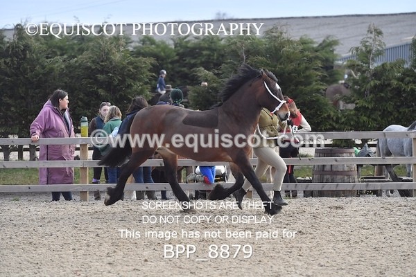 BPP_8879 - RING 2 - M&M