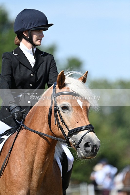 WJ7_0306 - Time 11:33 to 11:44