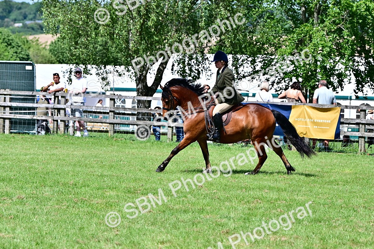 SBM_08017