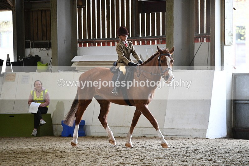 WJ5_6375 - Class 9 Ridden Veteran