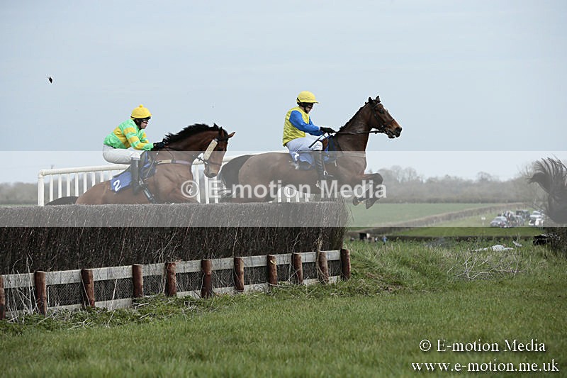 PtP 230319 17 - VWH Hunt Siddington Point-to-Point Racing 23/03/19