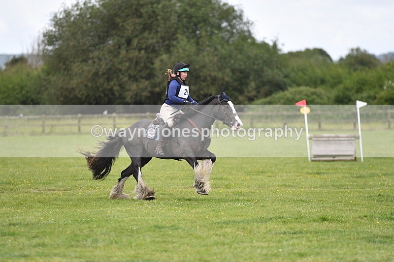 WJ5_3161 - Class 4 60cm