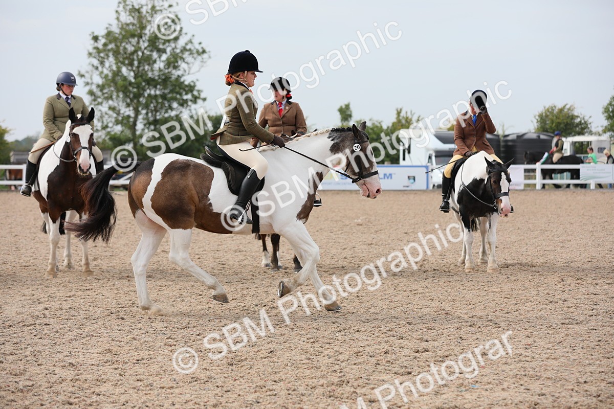 SBM_16985 - Class 314 Family Horse/Pony