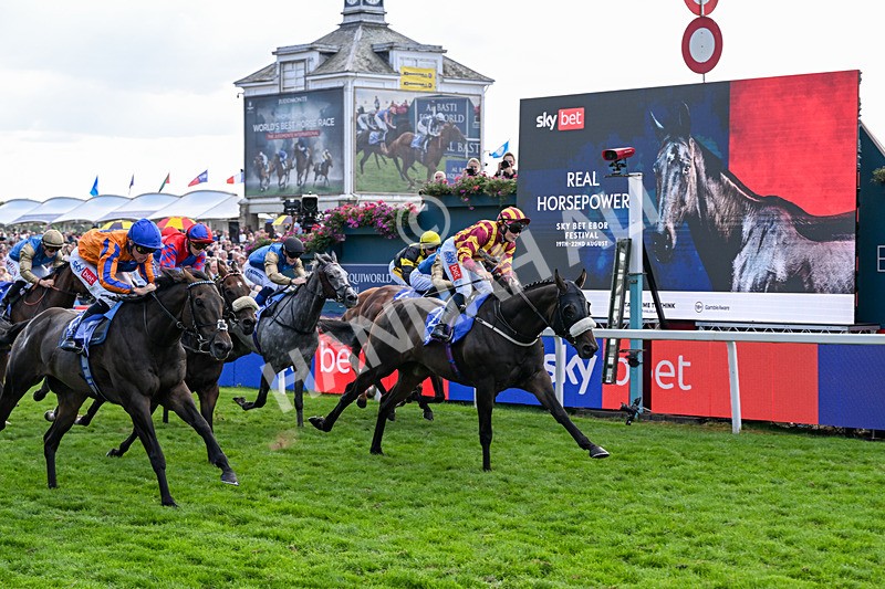 220826-Race 5-Sondad-1104 - Race 5 16.10pm Sky Bet Constantine Handicap