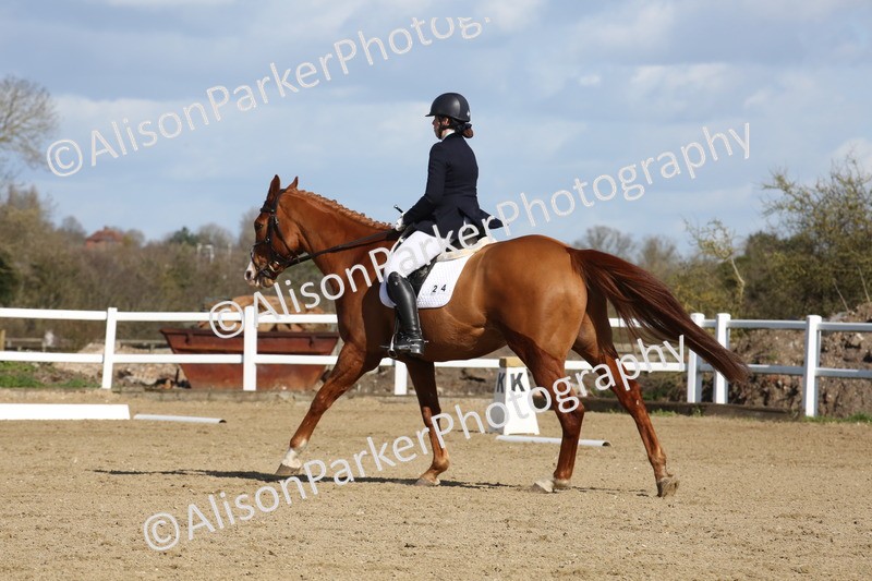 20260314-4142 - CT4 - Novice 1