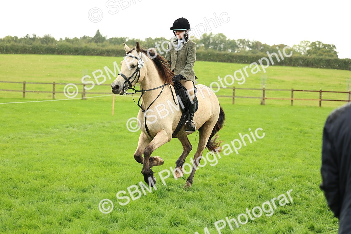 1I0A1501 - S32 - Mountain & Moorland Working Hunter Pony