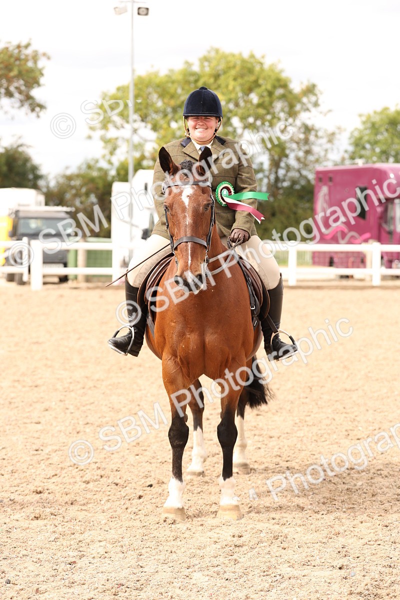 SBM_16536 - Class 212 - Ridden Hunter - Small