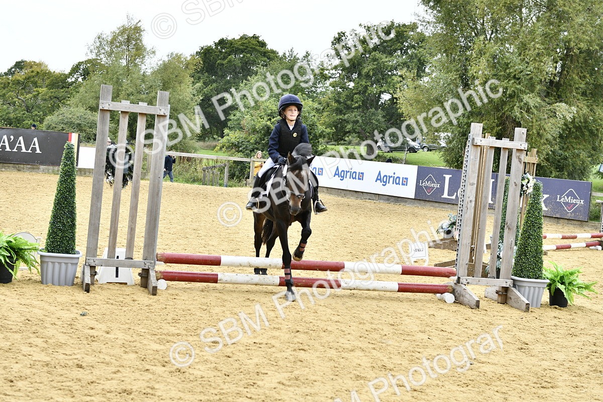SBM_65412 - J2a mini Tour Junior Pony 30cm Championship