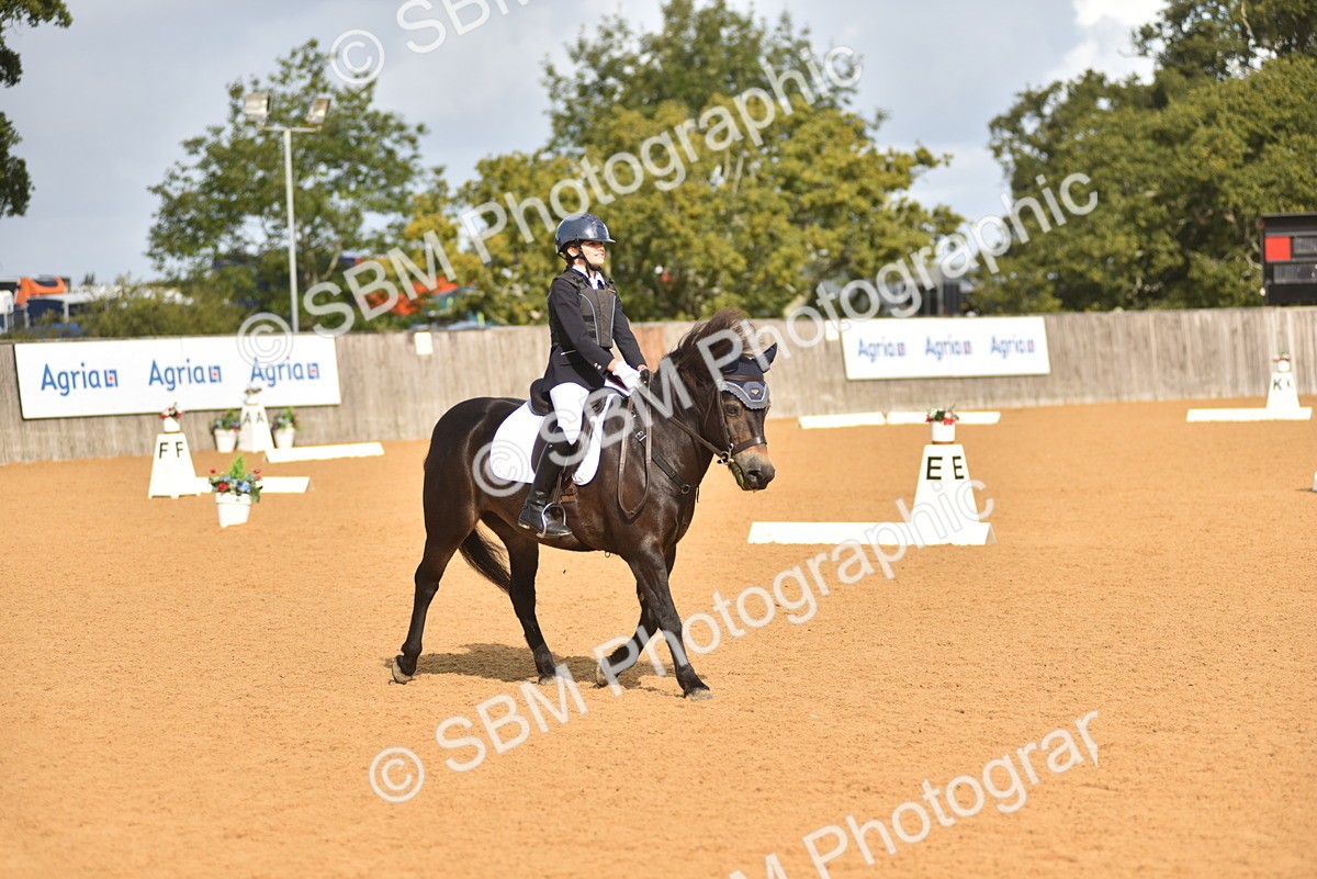 SBM_02972 - D4 - Small Tour Championship Intro 4