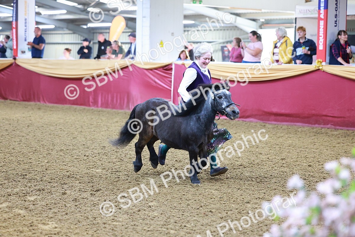 SBM_14764 - Class C - Novelty champ