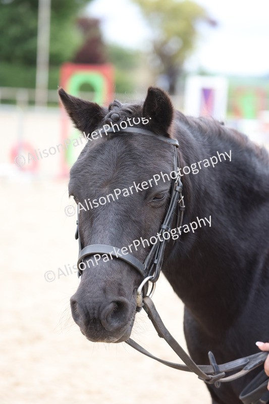 20250524-0764 - Class 7 - Veteran