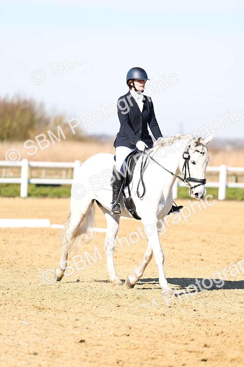 026A8549 - Class 2-6-5-4 - Paso Doble-Sevilla-Golega-Novato