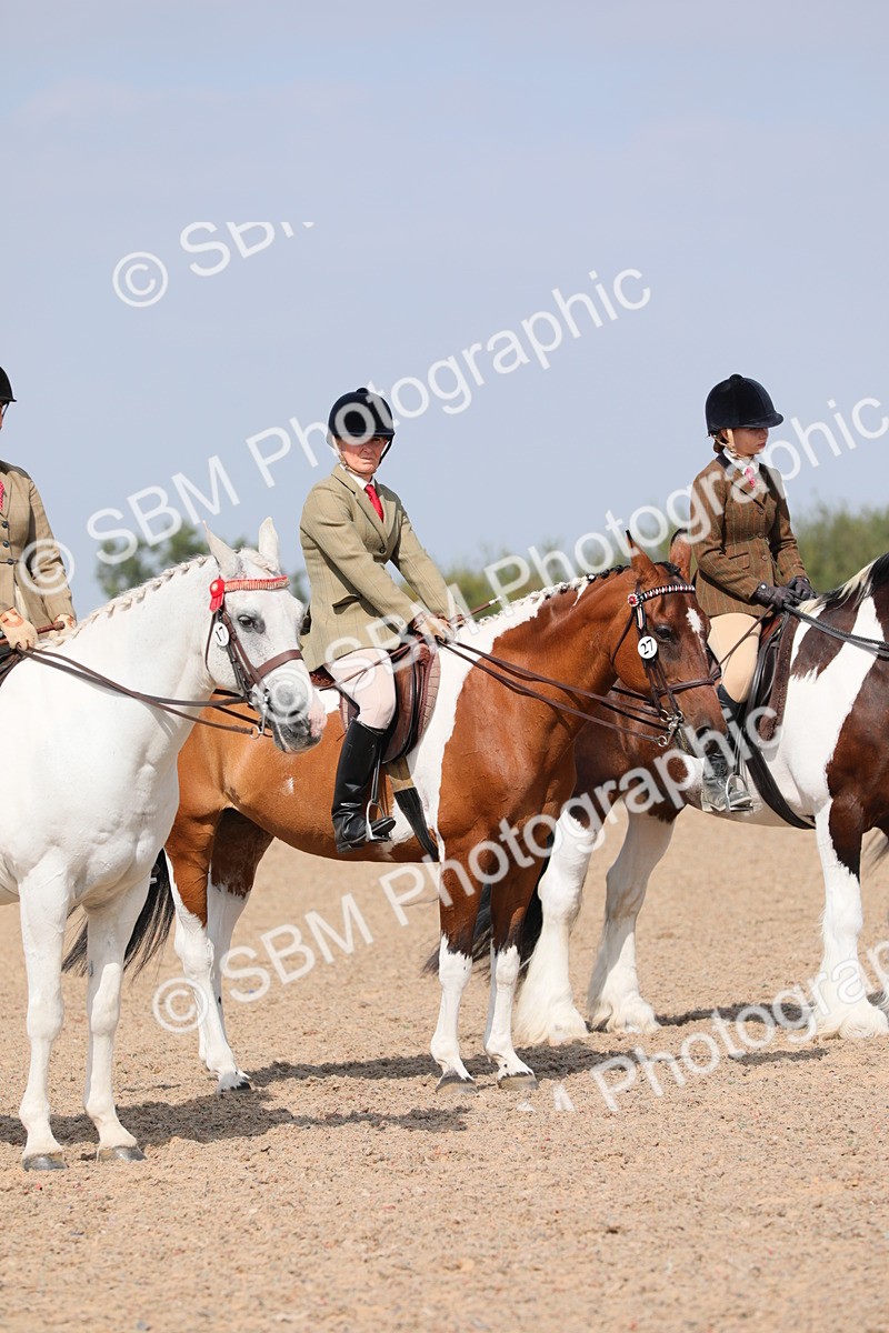 SBM_13501 - Class 308 Ridden Coloured Horse