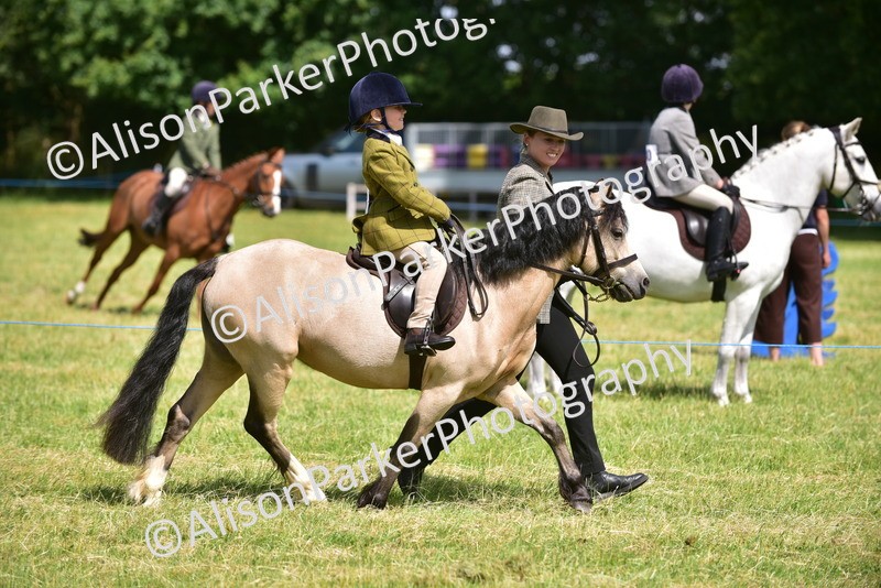 20260614-1162 - Class 11a - Lead Rein Pony (Unplaited)