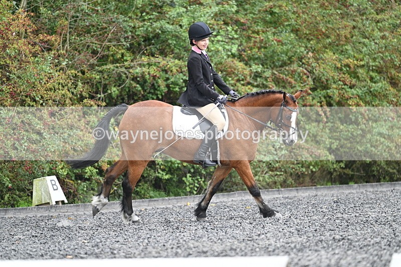 WJ7_4018 - Time 11:04 to 11:38