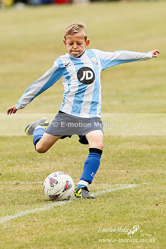 _LES7976p - Pitch Action