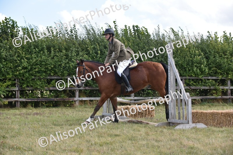 20250831-4007 - Class 12 - Working Hunter Pony 14.2hh and Under
