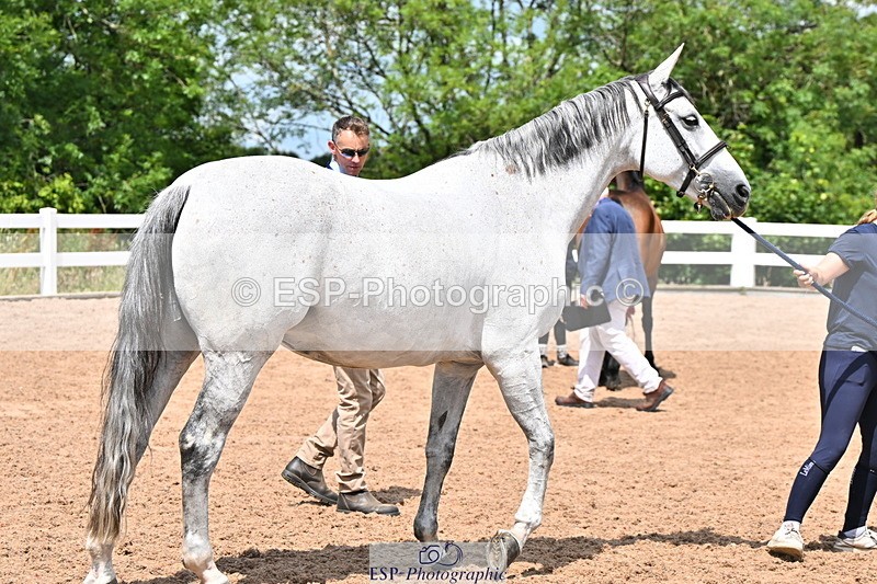 240718A-105305-01549 - Trot Up 1pm to 2pm