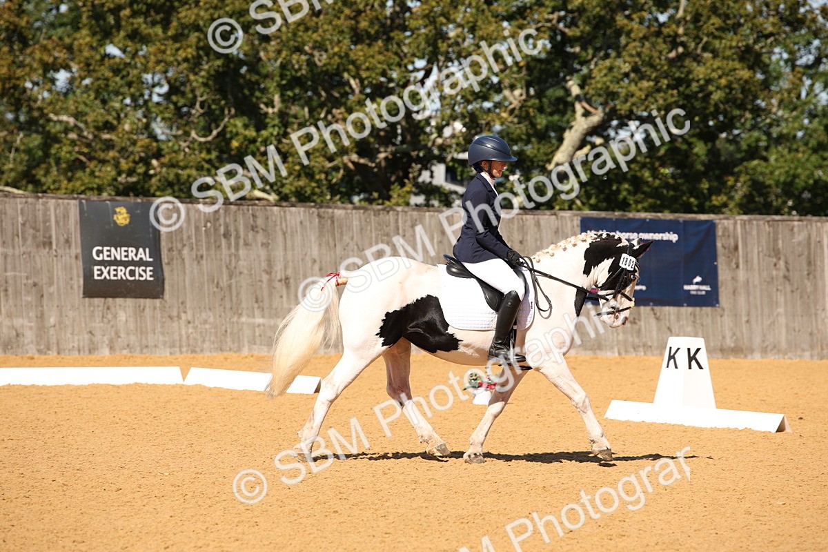 SBM_21643 - D5 - Small Tour Championship - Intro C