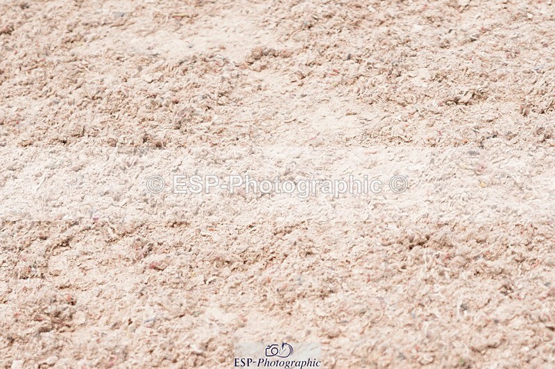 250608-130552-02815 - Cls 9 Pony Newcomers and 1m