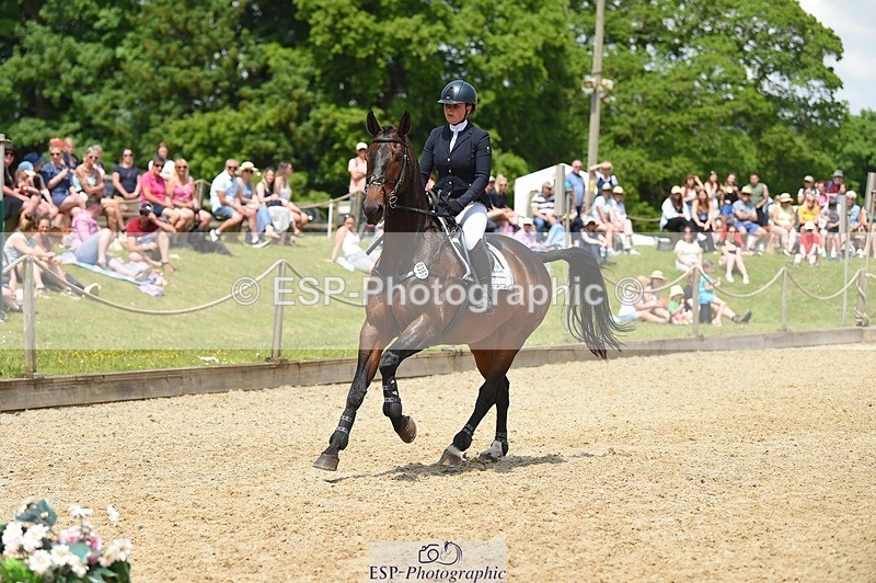 230528-125122-15869 - 357-VIVENDI_HERO-Saffron_Cresswell-SUNTrotUp+SJ