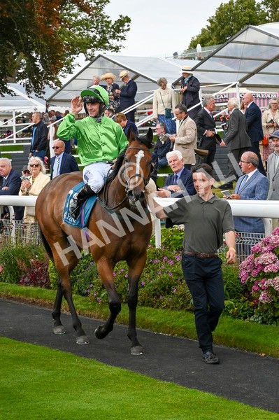 210824-Race 1-Jm Jungle-4733 - Race 1 1.50pm Symphony Group Handicap