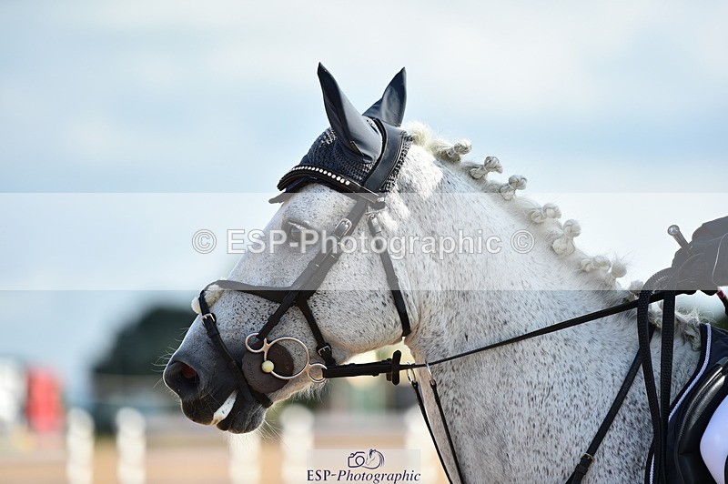 230902A-153306-01936 - Cls 4A Pony Big 95cm