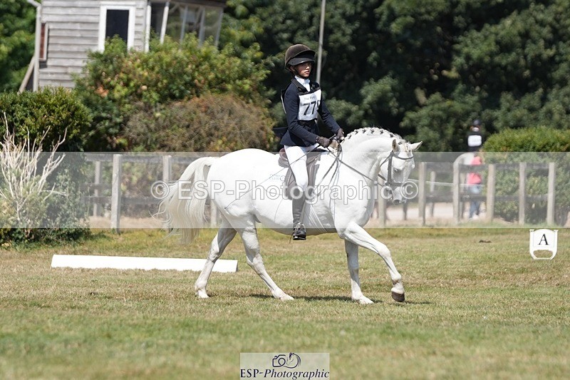 250823A-132843-31204 - Arena A