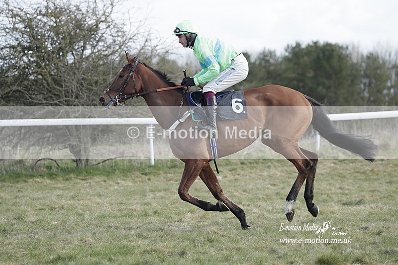 PtP 260223 571 - South & West Wilts Point-to-Point Larkhill 26/02/23