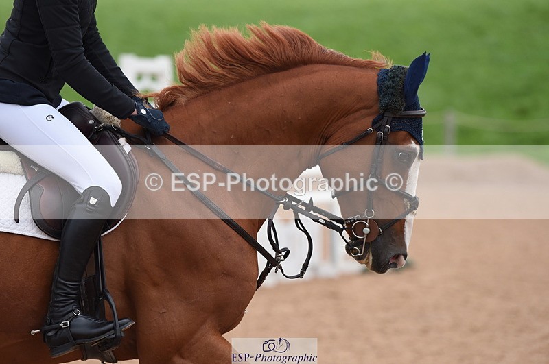 230927A-230044-00411 - Cls 5 Foxhunter & Open