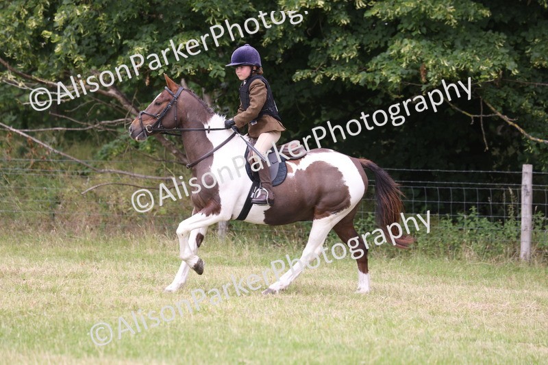 20260614-3073 - Class 22 - Open Working Hunter