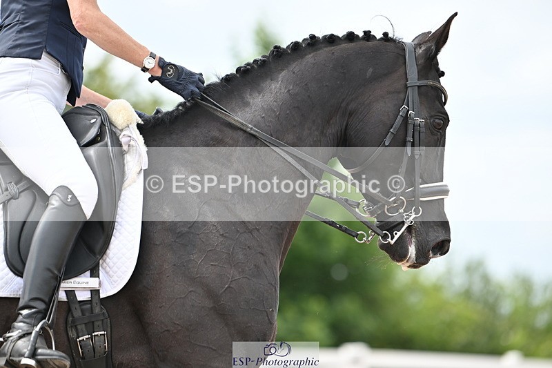 240621A-153821-04769 - Cls 13 BD Adv Medium 91