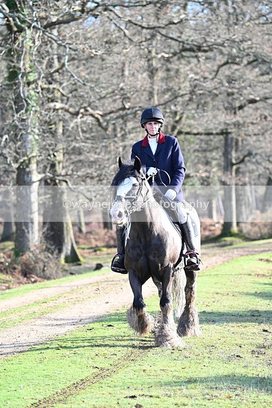 WJ7_7809 - Line 3 (no line 4 or 5)