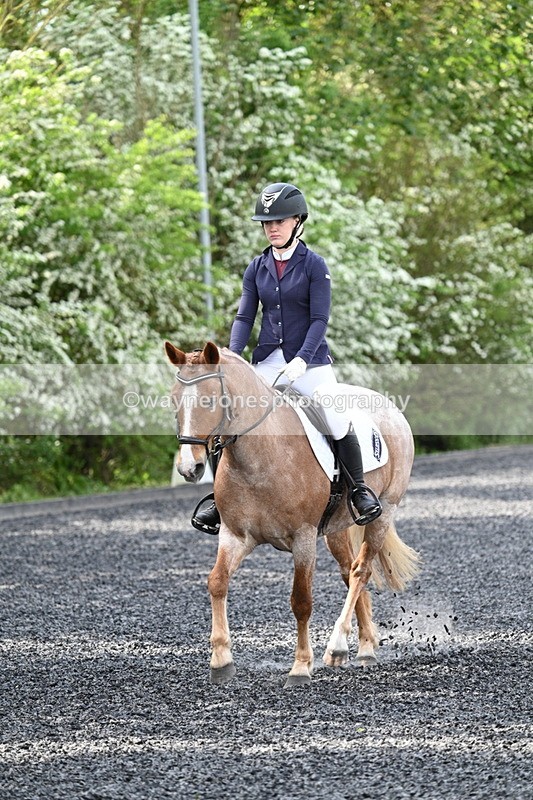 WJ7_8054 - Time 10:11 to 10:27