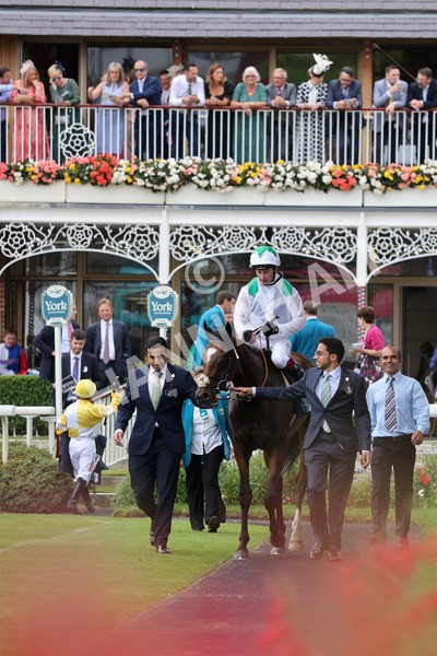 yr20082021r5-31 - Race 5 4.10pm British Stallion Studs EBF Convivial Maiden Stakes (Plus 10 Race)
