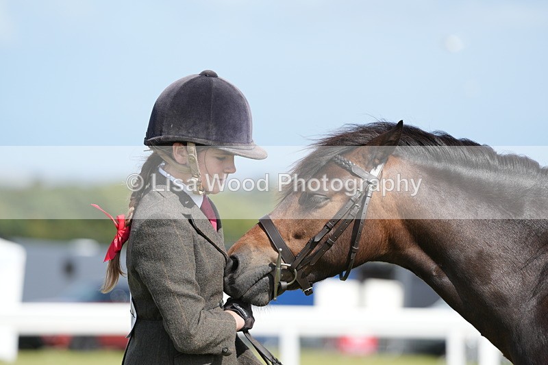 DSC07641 - Class 62: Child Handler