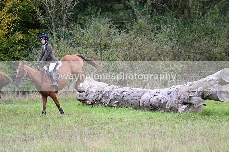 WJ7_3882 - Camera 1 Line 1