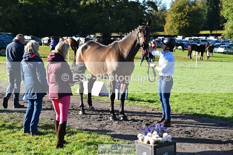 231022-105448-23584 - 418-PENHILL.REX-Lesley.Mitton-TrotUp+SJ