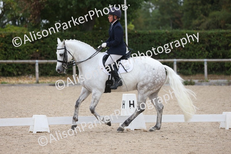 20250820-1156 - Class 17 - Elementary 4