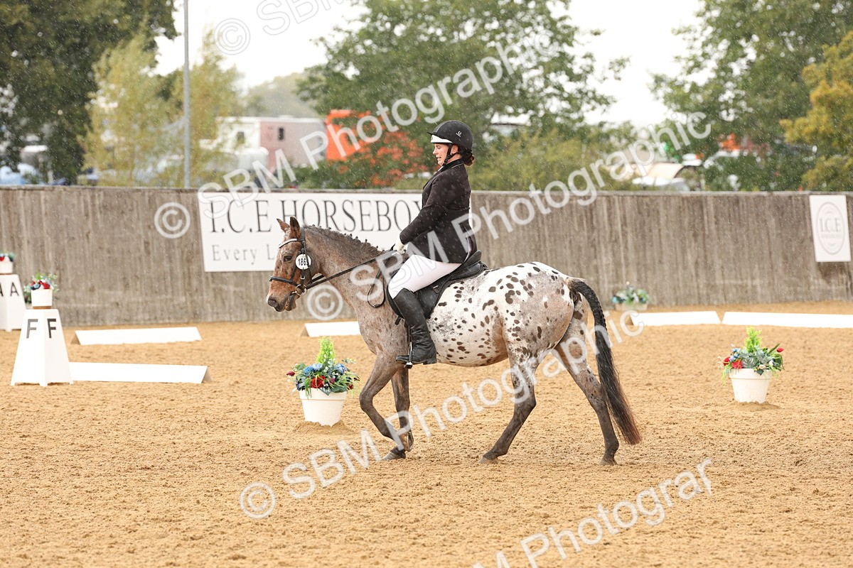 SBM_44130 - D6 - Small Tour Championship Intro 4