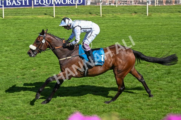 120725-Race 4-Al Qareem-5808 - Race 4 3.45pm John Smith's Silver Cup Stakes