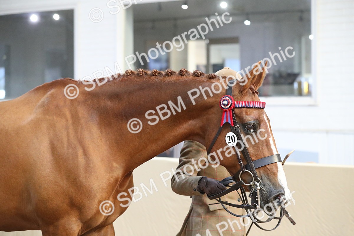SBM_00508 - class 2a Area IH Veteran