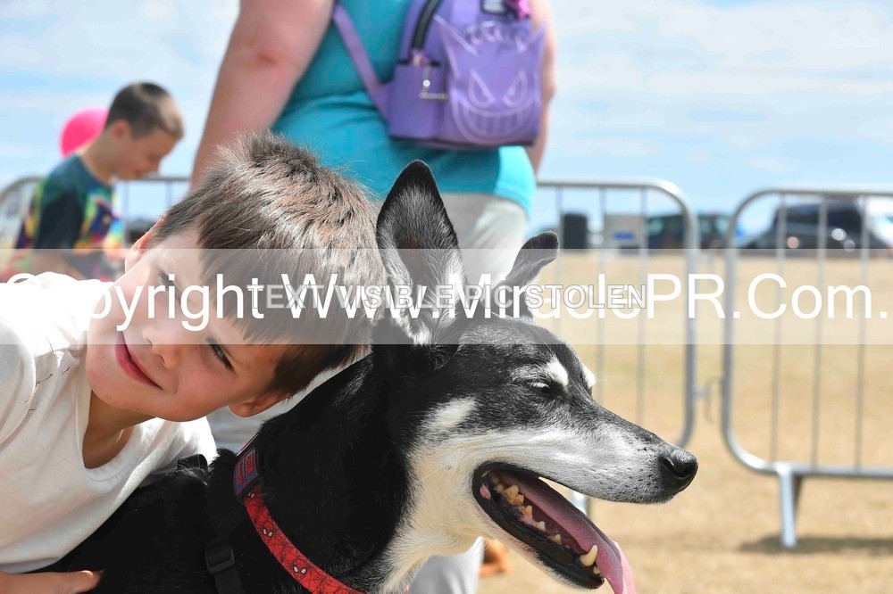 SH4_0111 - Dog show.