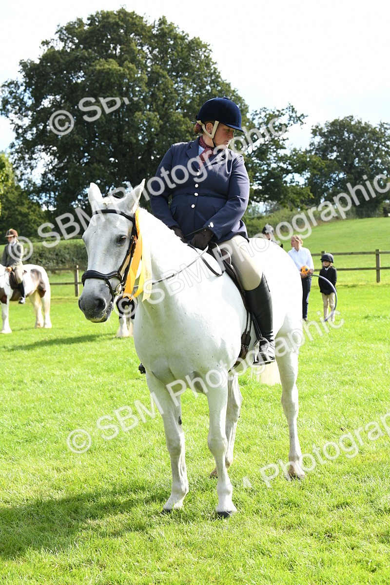 SBM_47254 - S12 - Family Horse & Pony